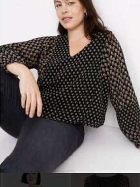 Madewell Sheer Sleeve Print V neck Blouse